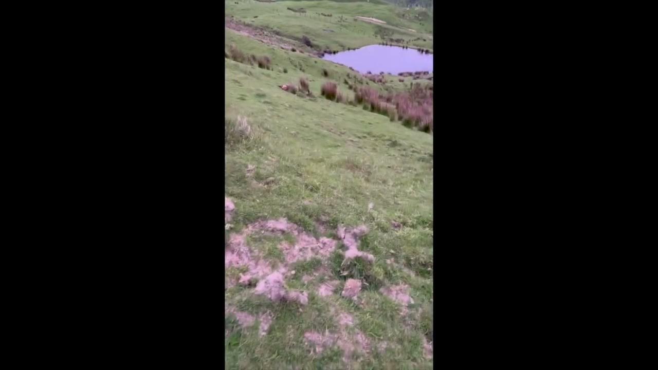 .223 - YouTube