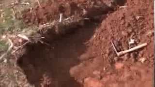 CORNFIELD CHRONICLES-KILLER BEACON ISLAND!