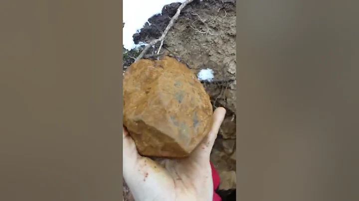 Massive Smoky Quartz Crystal Pocket Pikes Peak Colorado