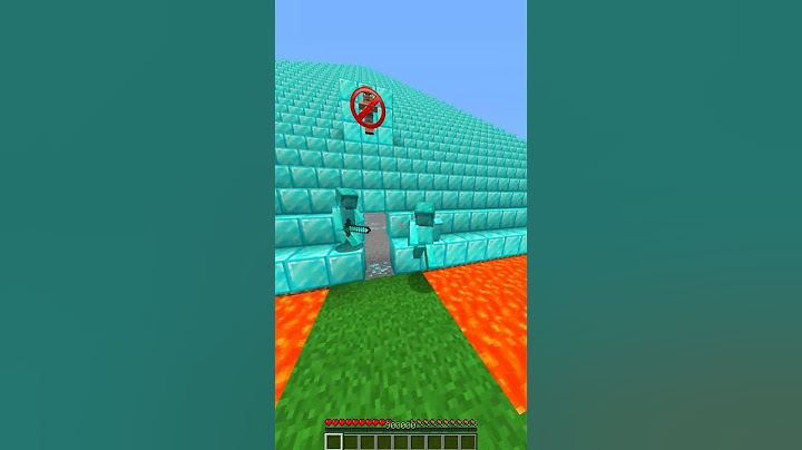 Illegal Village Banned The Diamond So We Organized Diamond Team 😢 #minecraft