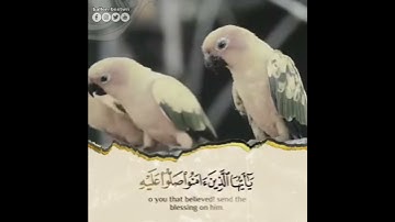 القارئ🎙: #رعد_الكردي #سورة_الأحزاب