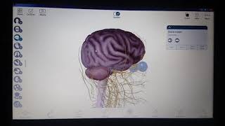 الجهاز العصبي الجزء الاول لمادة التشريح العملي