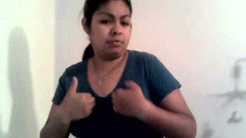 American Sign Language 201 (12761) Lesson 2: Chapter 3 Assignment