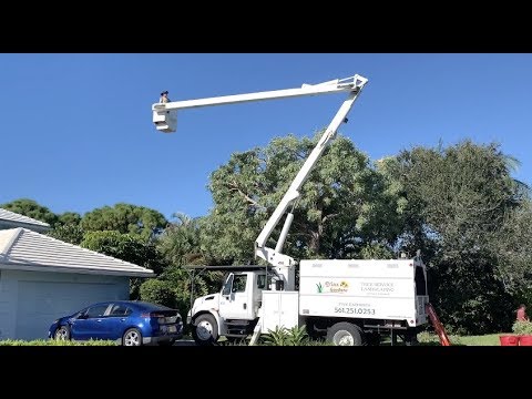 How To Work The Control On A Bucket On A Bucket Truck For Tree Trimming -  Youtube