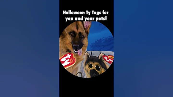 Be a Beanie at TY.COM