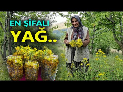 En Şifalı Yağ:Açık Yarayı Anında İyileştiriyor, Hiç İz Bırakmıyor- Köyde Yaşam. Şifalı Bitki #135