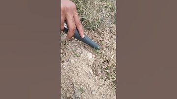 Nokta Pinpointer Founds