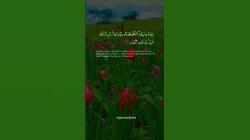 سورة غافر القارئ #خالد_الجليل #فلسطين#السعودية#الجزائر#المغرب#مصر#تونس#ليبيا#موريتانيا#اكسبلور