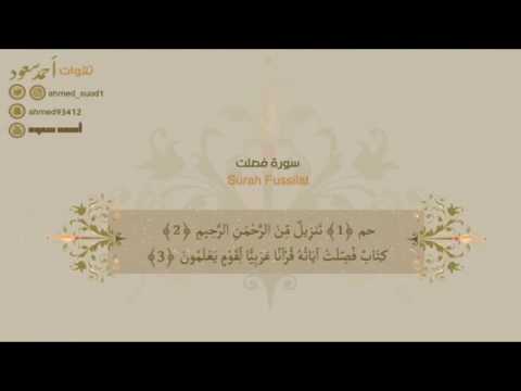 تلاوات القارئ أحمد سعود سورة فصلت