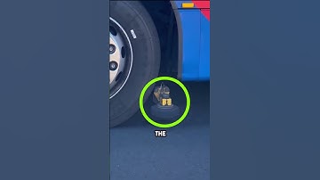 O-Bahn Busway is Crazy