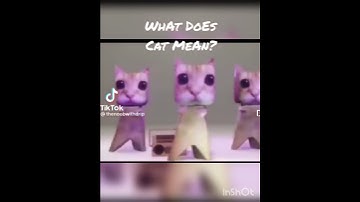 WhAt DoEs CaT MeAn? WrOnG AnSwErS OnLy!!!