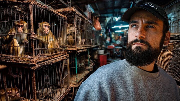 I Infiltrated the Black Market for Animals in Asia