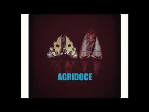 Agridoce - Romeu