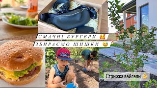 ПОДАРУНОК ДЛЯ ЧОЛОВІКА 🥰 ЯК ОБРІЗАТИ ВЕЙГЕЛУ 👌 Домашні бургери 🍔