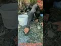 精密泥蟹洗浄術！ 洞窟注水漁法