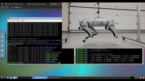 Unitree Go1 Wireless Low Level Control with Windows and Docker