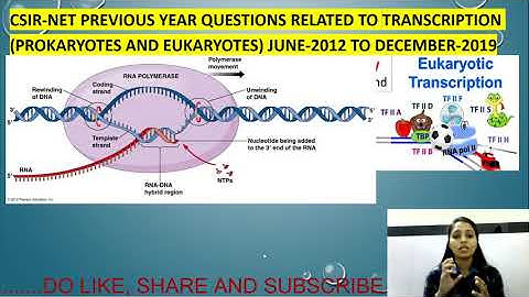 CSIR NET-2021||PYQs RELATED TO TRANSCRIPTION IN PROKARYOTES AND EUKARYOTES FROM 2012 TO 2019||BARC||