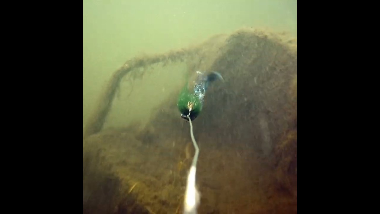 Trolling over a sunken boat! 