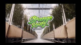Stange Rootz Grow Facility