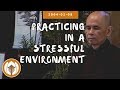 Practicing in a stressful environment  dharma talk by thich nhat hanh 20040208
