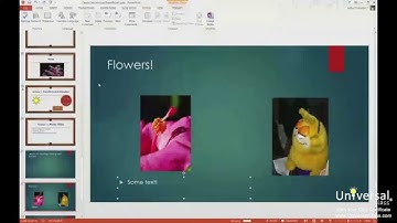 Saving, Sharing, and Exporting Presentations in PowerPoint 2013