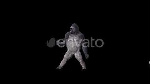 Gorilla Party Dancing | Motion Graphics - Envato elements