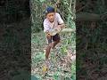 wau penongu bambu ini sangat unik #nature #viral