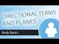 Anatomical Planes and Directional Terms in Human Body Structure