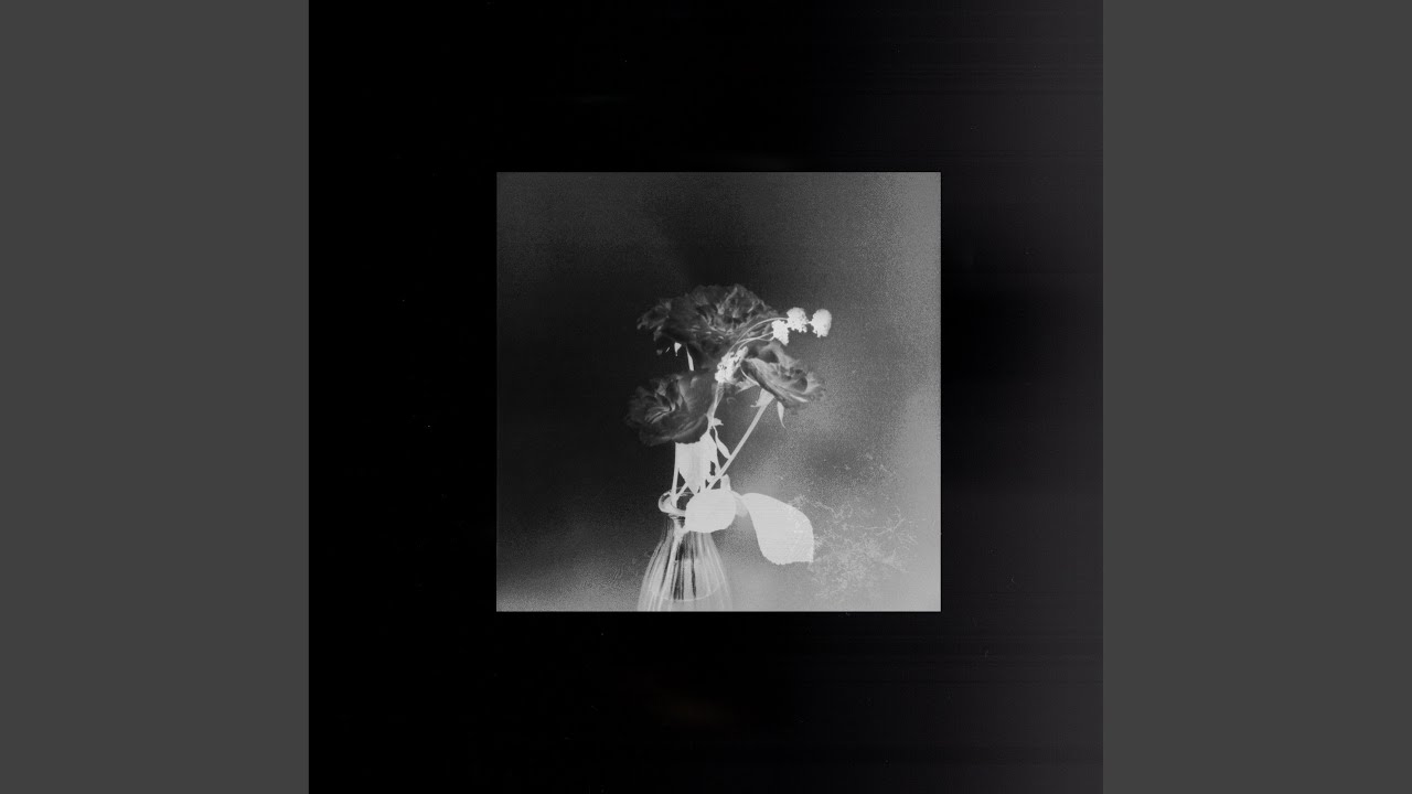 Die 4 You by Ava In The Dark