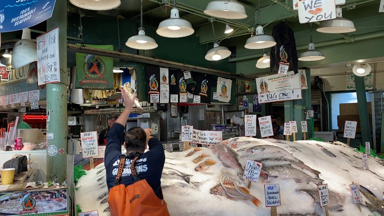 Tposing Fish Tossing fish in Seattle on the iPhone 11 Pro Max - YouTube