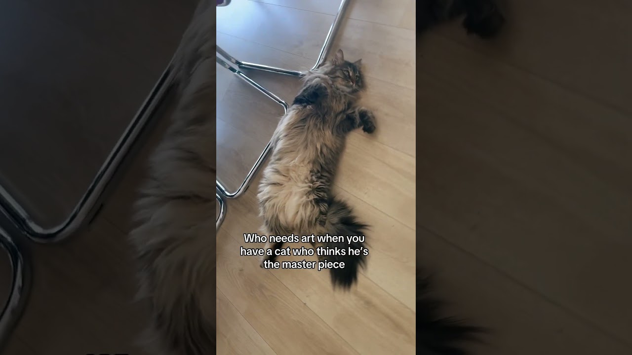 The still life painting we all needed 