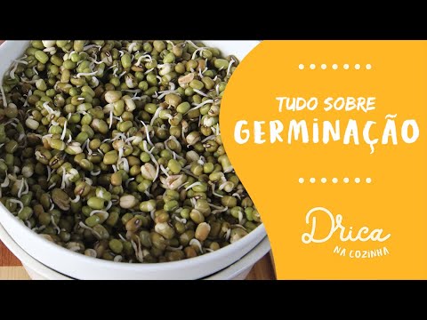 Vídeo: Você cozinha lentilhas germinadas?