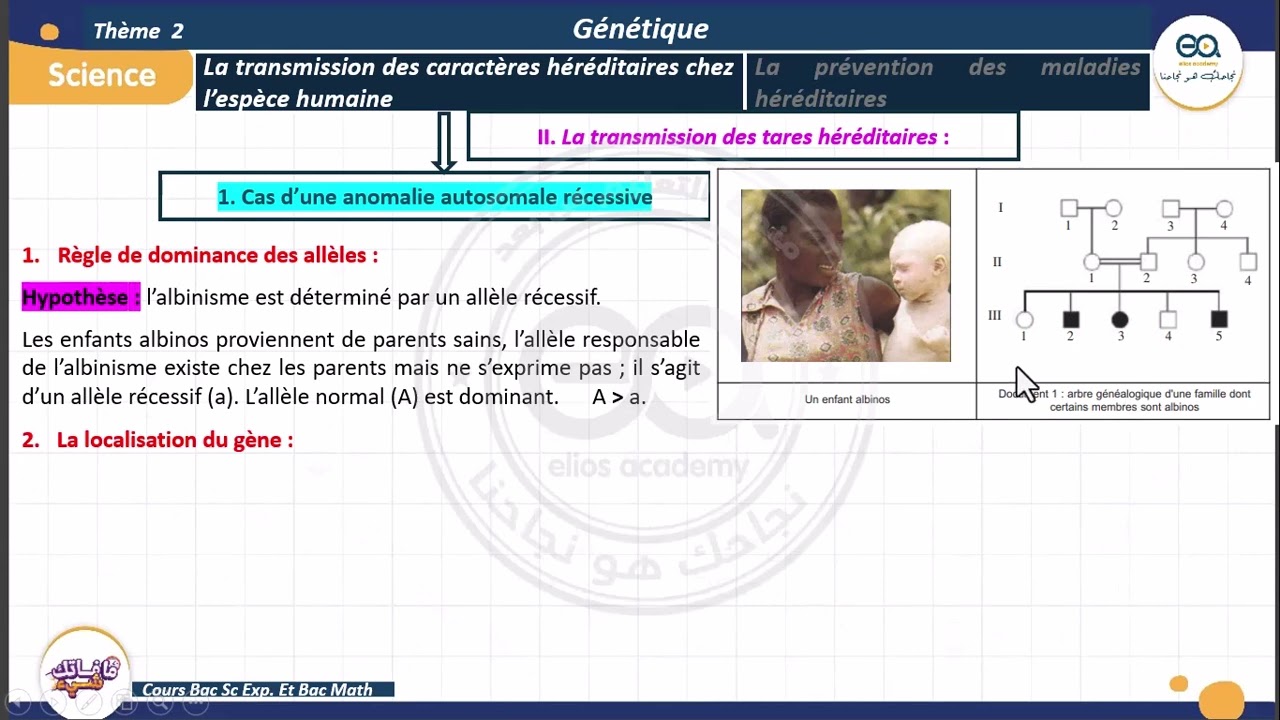 02_Génétique humaine : Cas d'une maladie récessive autosomale