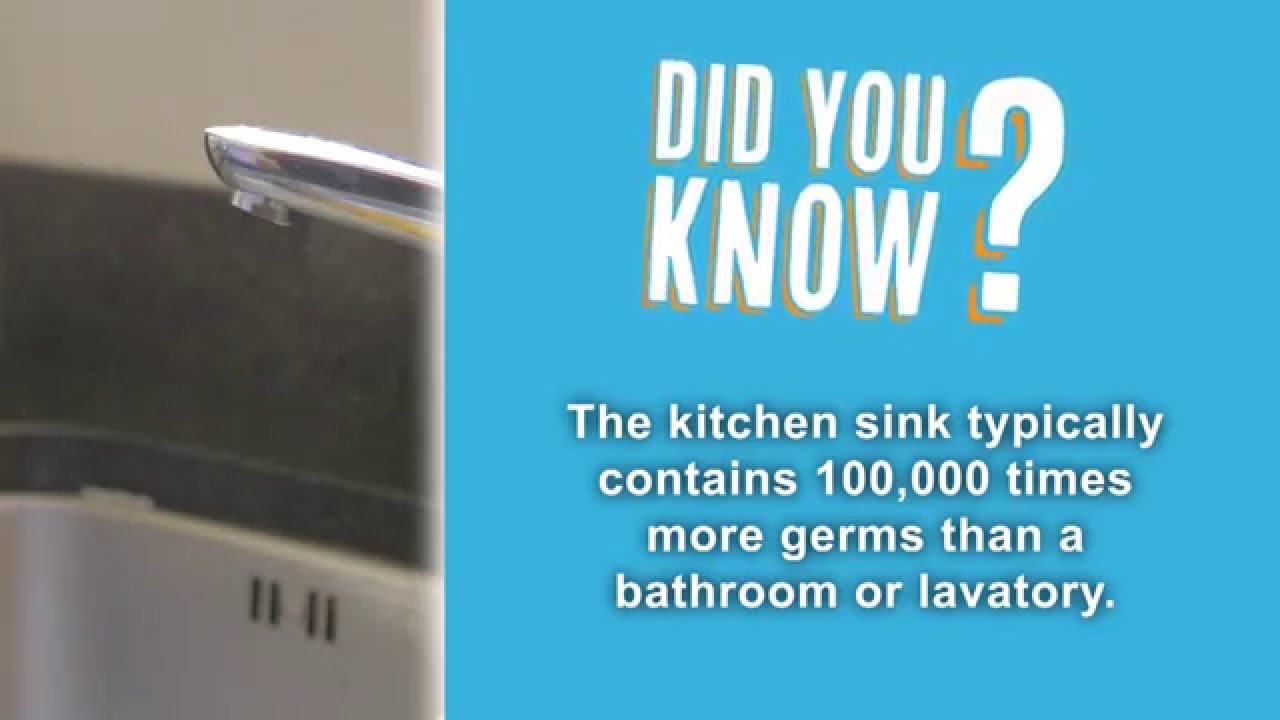 Kitchen Sink Bacteria Zoflora S A Day In The Life