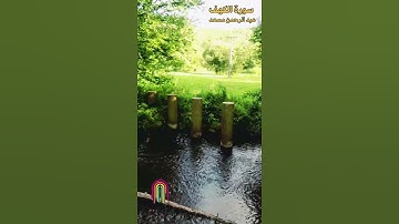 القارئ عبد الرحمن مسعد_ سورة الكهف