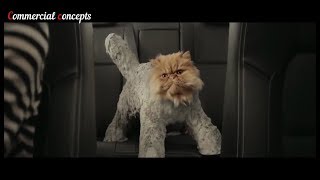 top 5  Cat  funny car commercials