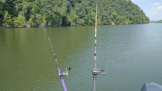Precision Anchor Fishing