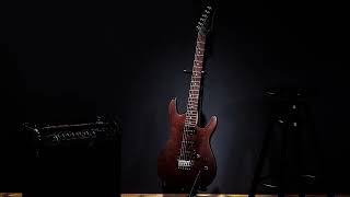 Crowbar - Suffering Brings Wisdom (guitar backing track)