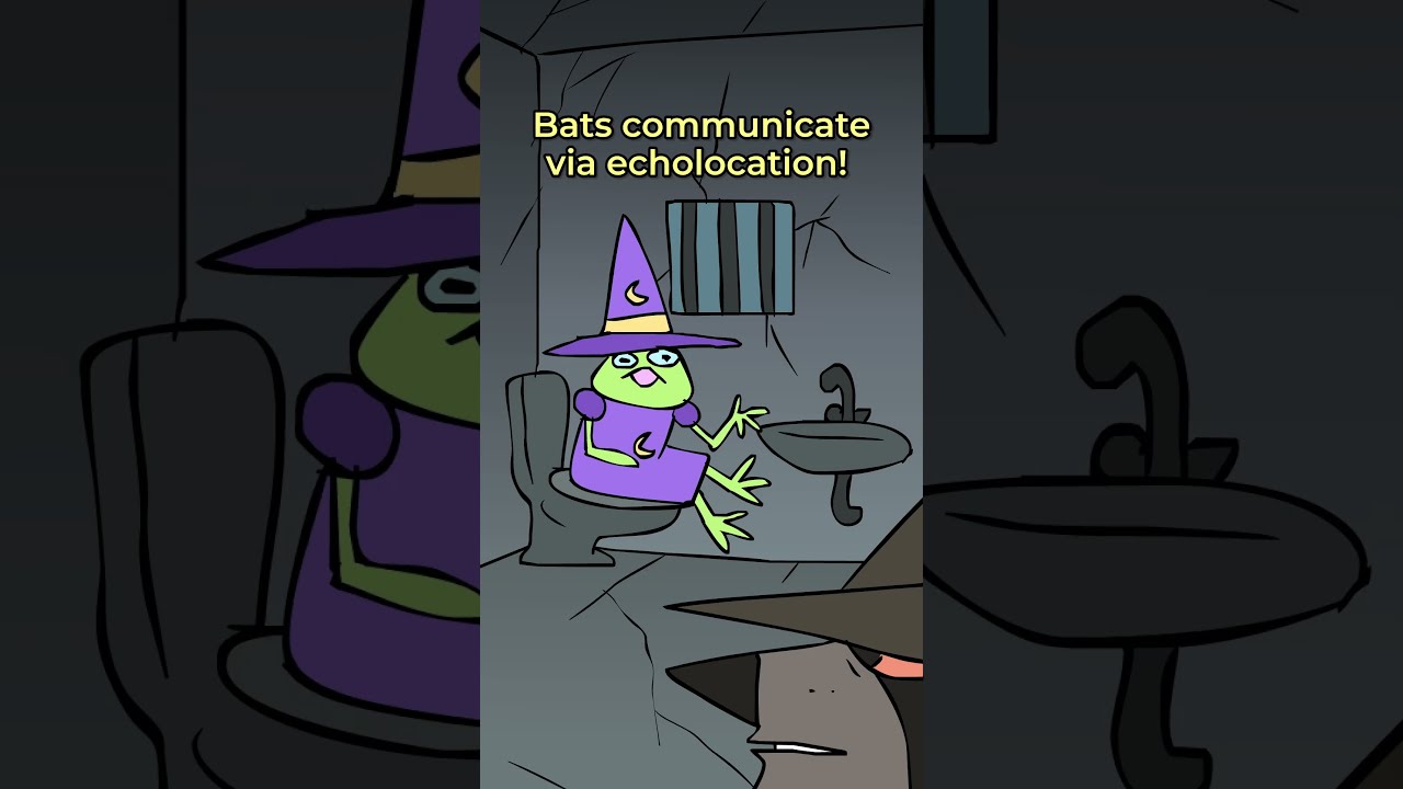 D Animated Stop Writing Dnd Ttrpg Dnd5e