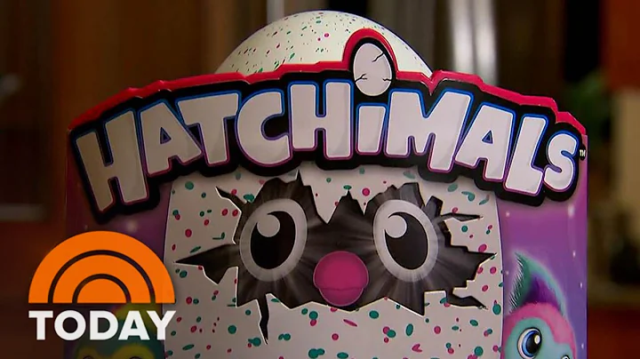 Hatchimals Hoarded By Best-Selling Author Sara Gru...