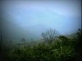 台北陽明山的秋色山嵐 YMShan in Autumn Taipei 2006