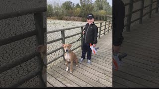 Sheriff's deputy accused of shooting, killing neighbor's dog