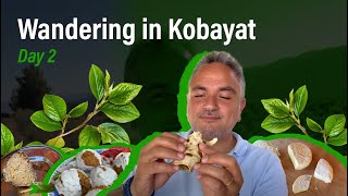 Tourism in Kobayat Day 2: Restaurants, Guesthouses, Museums, Forests, Nature and Hikes