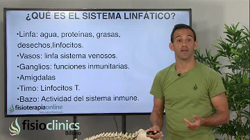 ¿Cuáles son las causas de la acumulación linfática?