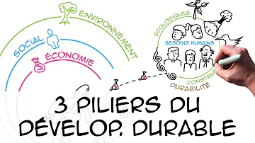 Quelle sont les 3 piliers du développement durable ?