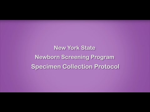 Newborn Screening Program - Blood Spot Collection