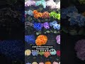 Manufacturing of artificial flowers, hydrangea bunch, all type, colourful #artificialflowerhydrangea