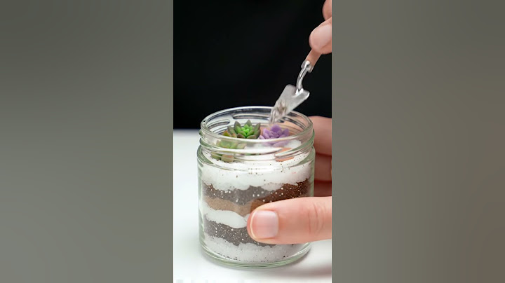 Creating a Tiny Succulent Paradise! ✨ Miniature DIY Terrarium