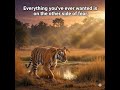 Fear#motivation #inspiration #explore #life #riseshinearrive #dothingsyoudontwanttodo #shorts #reels
