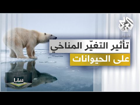 فيديو: كيف يؤثر الاحتباس الحراري على النباتات والحيوانات؟